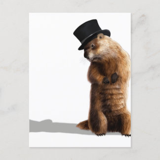 Groundhog Seeing Shadow Briefkaart