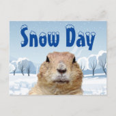 Groundhog Snow Day Briefkaart (Voorkant)