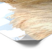 Groundhog Snow Day Poster (Hoek)