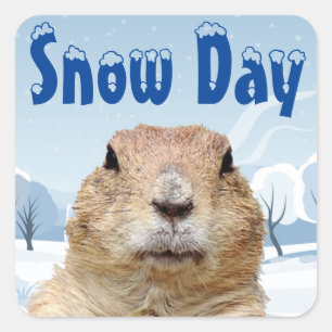 Groundhog Snow Day Vierkante Sticker