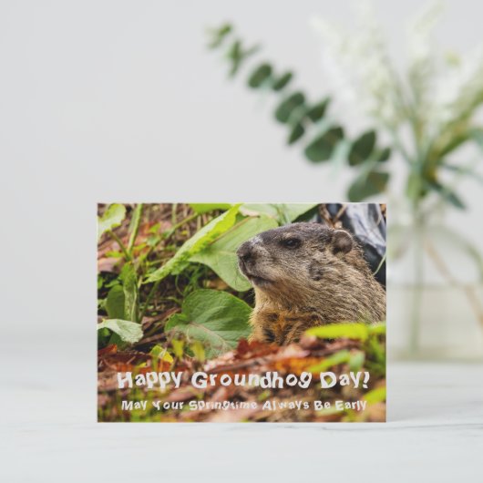 Groundhog Springtime Briefkaart (Staand voorkant)