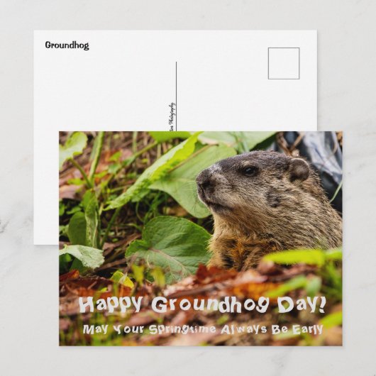 Groundhog Springtime Briefkaart (Voorkant / Achterkant)