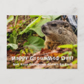 Groundhog Springtime Briefkaart (Voorkant)