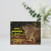 Groundhog Sunny Briefkaart (Staand voorkant)