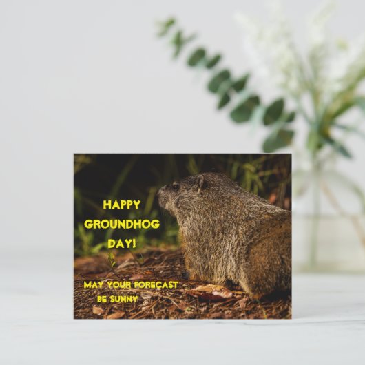 Groundhog Sunny Briefkaart (Staand voorkant)