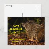 Groundhog Sunny Briefkaart (Voorkant / Achterkant)
