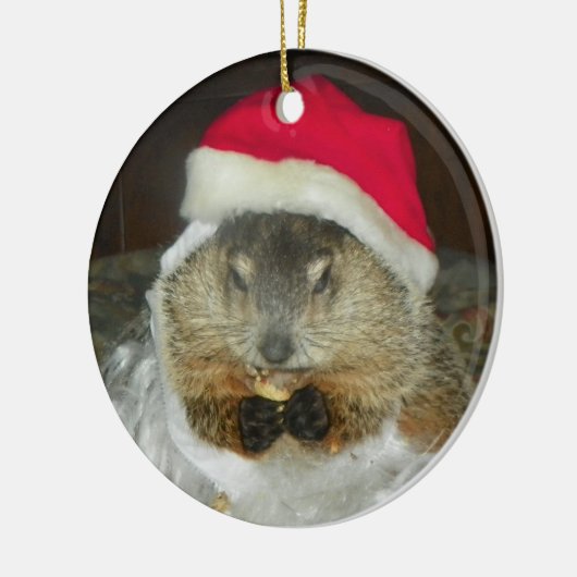 Groundhog/Woodchuck Clara Ornament (Links)