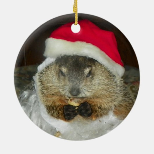 Groundhog/Woodchuck Clara Ornament (Achterkant)