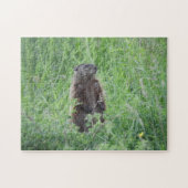 Groundhog Woodchuck die in Grass Puzzle staat Legpuzzel (Horizontaal)
