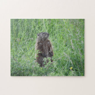Groundhog Woodchuck die in Grass Puzzle staat Legpuzzel
