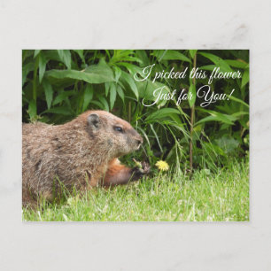 Groundhog/Woodchuck levert bloemen Briefkaart
