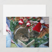 Groundhogs Clara en de Groet van de Vakantie van Feestdagenkaart (Voorkant / Achterkant)