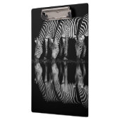 Group of Plains Zebra Drink Together at Night Klembord (Links)