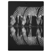 Group of Plains Zebra Drink Together at Night Klembord (Achterkant)