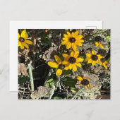 Group of Yellow Flowers Postcard Briefkaart (Voorkant / Achterkant)