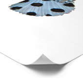 Grouper - Abstract Design - Knip uit een foto | Poster (Hoek)
