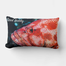 Grouper en Cleaner Garnalen