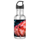 Grouper en Cleaner Garnalen Waterfles (Voorkant)