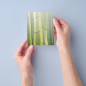 Grove Bamboo Grove Spa Skin Care Massage Salon Flyer (Hand)