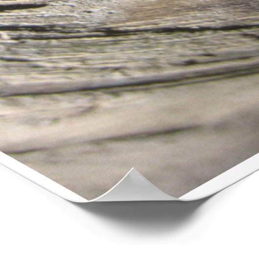 Grove of the Patriarchs Poster (Hoek)