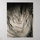 Grove of the Patriarchs Poster (Voorkant)