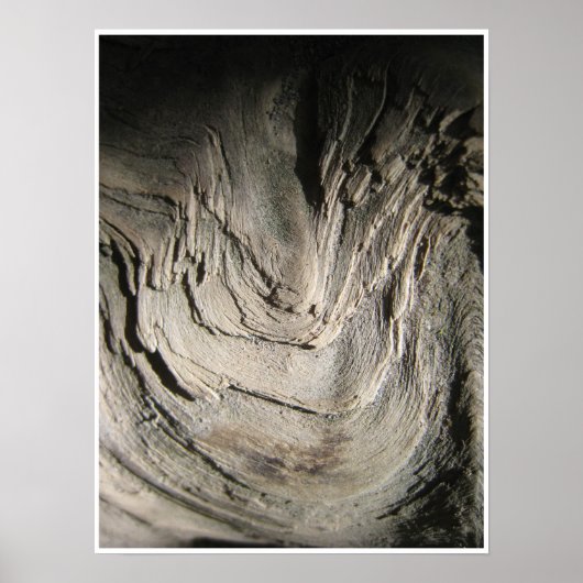 Grove of the Patriarchs Poster (Voorkant)