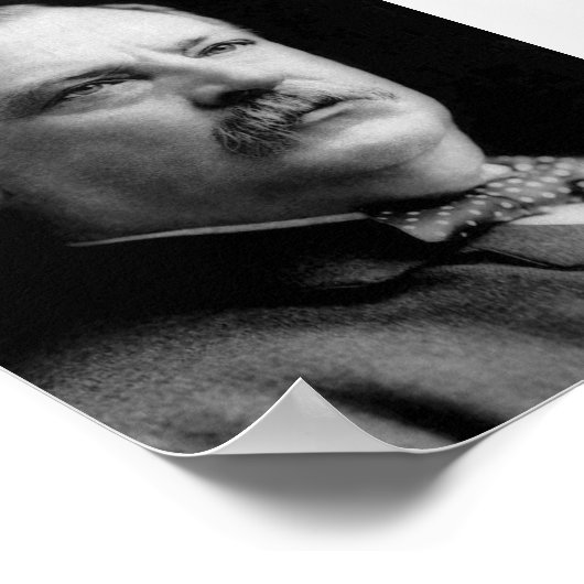 Grover Cleveland Poster (Hoek)