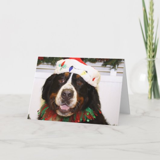 Grover - de Hond van de Berg Bernese Feestdagen Kaart (Voorkant)