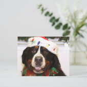 Grover - de Hond van de Berg Bernese Feestdagenkaart (Staand voorkant)