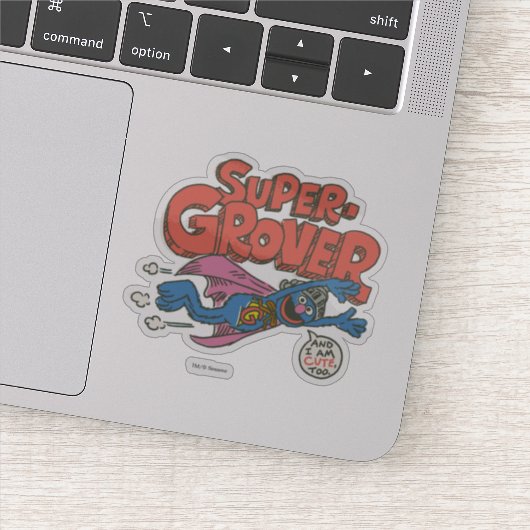 Grover  Kinder Sticker (Detail)
