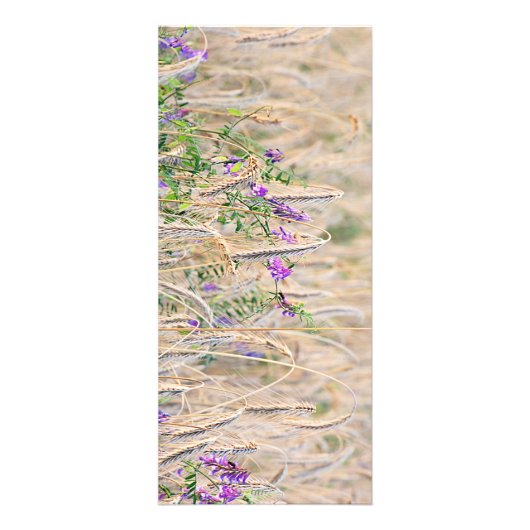 Growing Grain Rack Kaart (Voorkant)