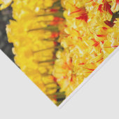 Growing in Gold  Tissuepapier (Detail)