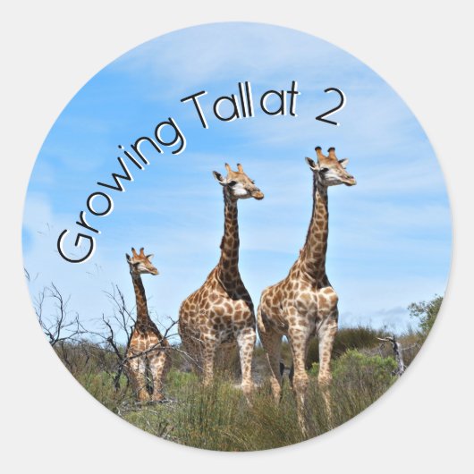 Growing Tall Safari Accent Ronde Sticker (Voorkant)