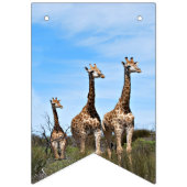 Growing Tall Safari Banner (Eerste vlag)