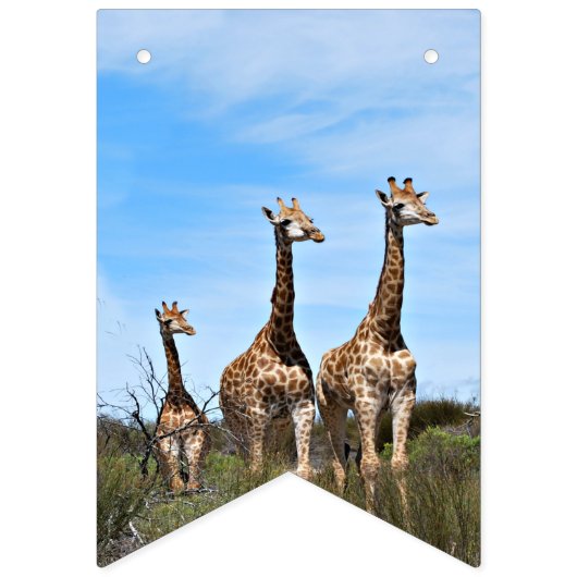 Growing Tall Safari Banner (Eerste vlag)