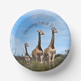 Growing Tall Safari Bowlful Papieren Kommen