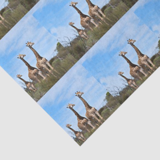 Growing Tall Safari Harmony Tissuepapier (Detail)