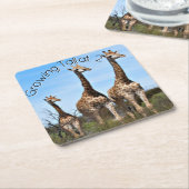 Growing Tall Safari Moment Kartonnen Onderzetters (Schuin)