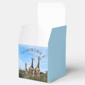 Growing Tall Safari Wonder Bedankdoosjes (Geopend)