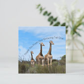 Growing Tall Thank You Message Bedankkaart (Staand voorkant)