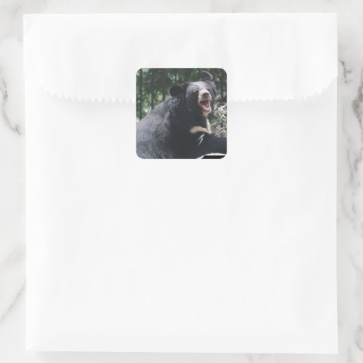 Growling Beer Stickers (Tas)