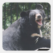 Growling Beer Stickers (Voorkant)