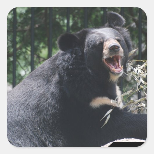 Growling Beer Stickers (Voorkant)