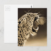Growling Leopard Briefkaart (Voorkant / Achterkant)