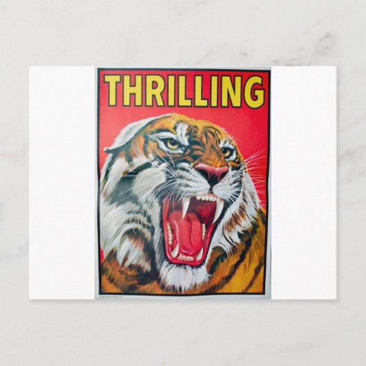 Growling Tiger Briefkaart (Voorkant)