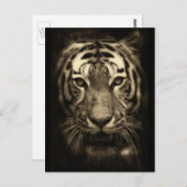 Growling Tiger Face in Sepia Tones Briefkaart (Voorkant / Achterkant)