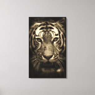Growling Tiger Face in Sepia Tones Canvas Afdruk