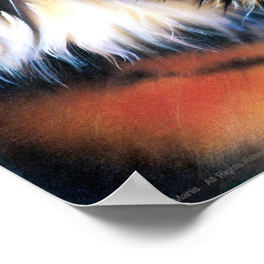 Growling Tiger Poster (Hoek)