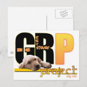 GRP - GOLDEN RETRIEVER PROJECT - WAY COOL! BRIEFKAART (Voorkant / Achterkant)