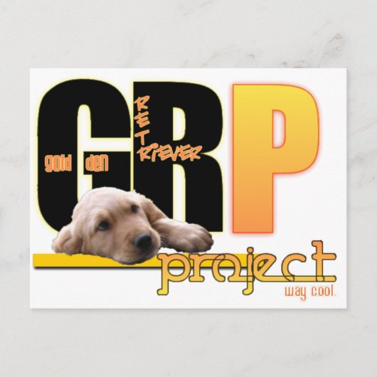 GRP - GOLDEN RETRIEVER PROJECT - WAY COOL! BRIEFKAART (Voorkant)